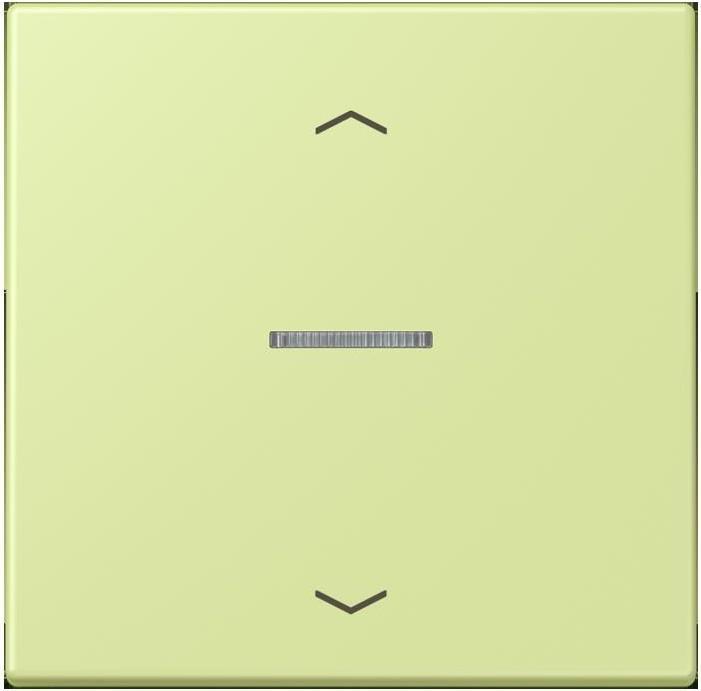 JUNG BTLC17101P222 HOME push button