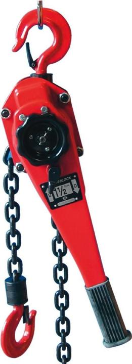 Image du produit Berger & Schröter 60317 Palan à chaîne à double rochet