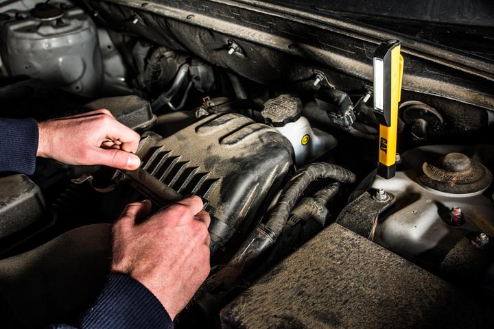 Actual product image Cat Working lamp (175 lm)