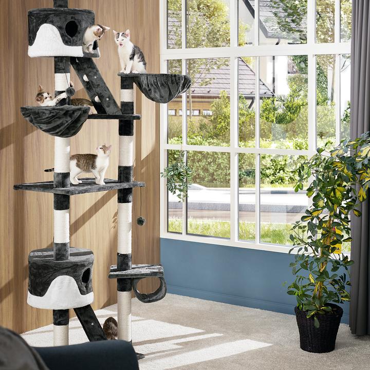 Image du produit tectake Arbre à chat Hansi (260 cm, Noir, Blanc)