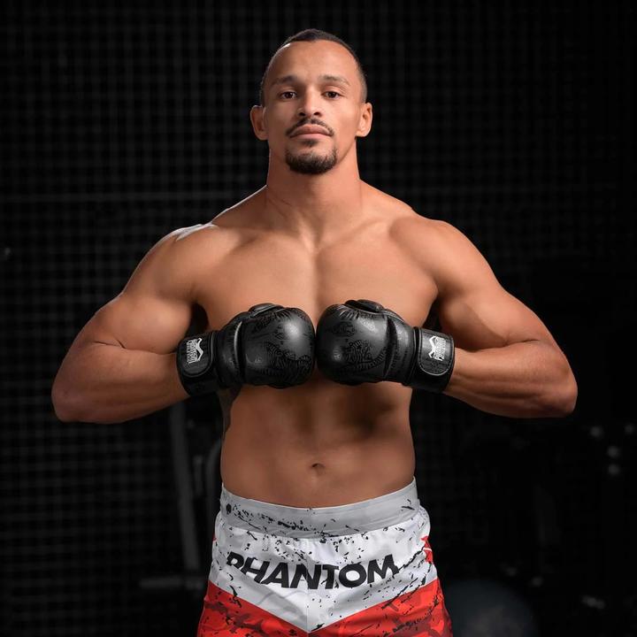 Produktbild Phantom Athletics MMA Muay Thai Sparring-Handschuhe (M, S)