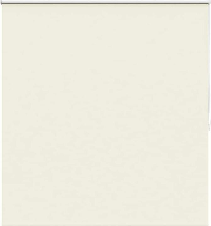 Broken white