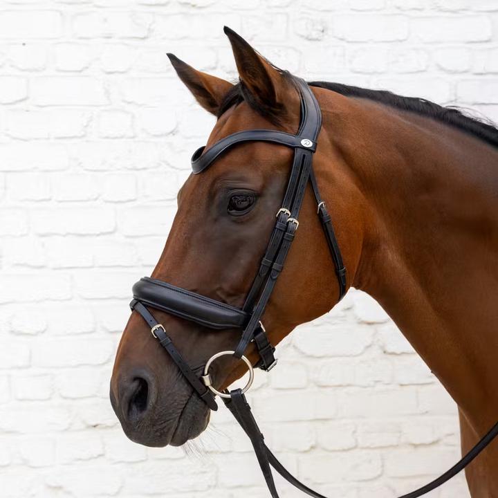 Image du produit Dy'on Bridon équitation muserolle en cuir souple