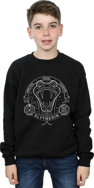 Image du produit - Sweat SLYTHERIN SEAL - Garçon (140, 146)