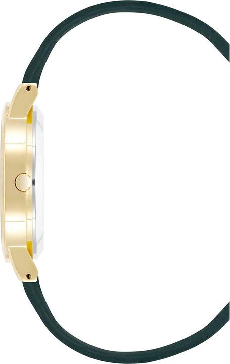 Image du produit Juicy Couture Montre pour femme JC1344GPGN (Ø 36 mm) (36 mm)