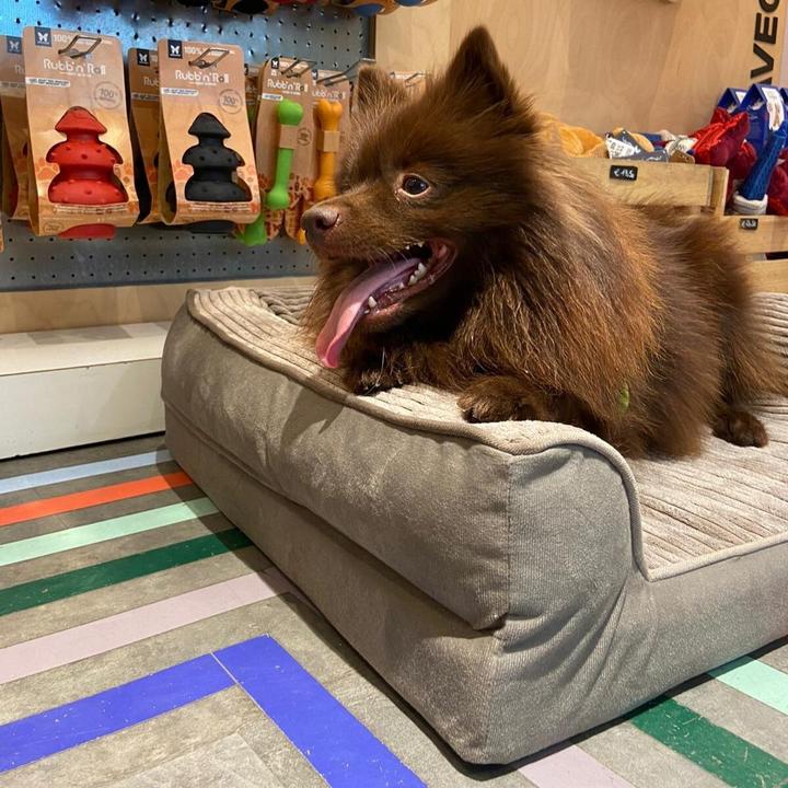 Produktbild Martin hondenmand royal collection beige (Hund)