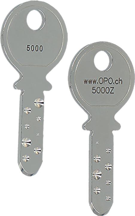 Actual product image Kaba Cylinder key 8 5000 Z (Cylinder key)