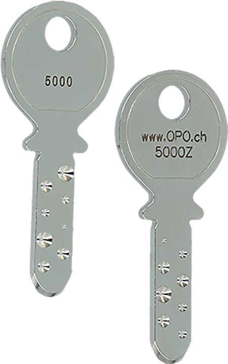 Immagine prodotto Kaba Chiave cilindro 8 5000 Z (Chiave a cilindro)
