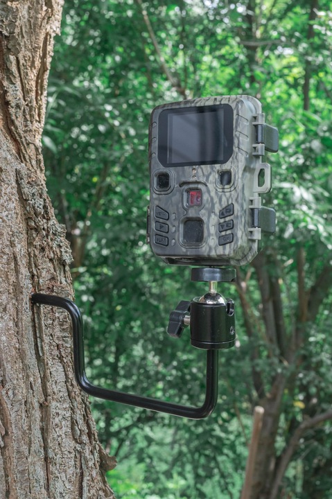 Immagine prodotto Braun Photo Vite ad albero BRAUN per fotocamere da gioco da 1/4"