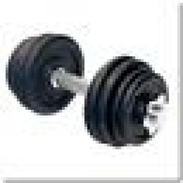 Actual product image HMS Threaded barbell SG01 4 plates
