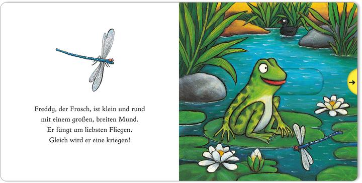 Actual product image Freddy, der Frosch (German, Anu Stohner, Axel Scheffler, 2025)