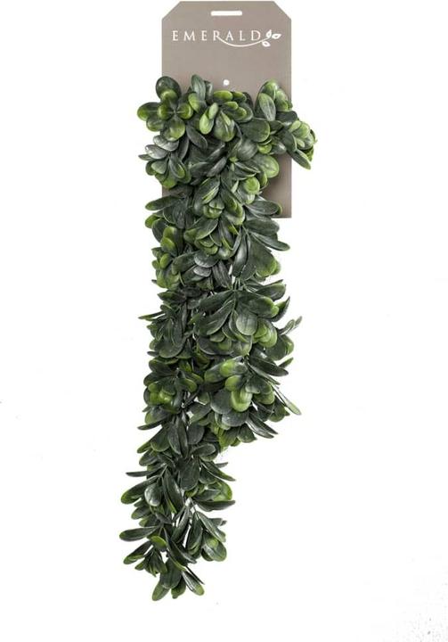 Produktbild Emerald Kunstpflanze (80 cm)