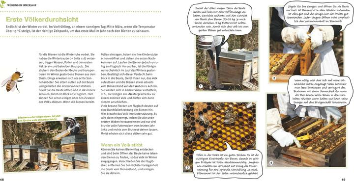 Produktbild Bienen Basics (Deutsch, Armin Bielmeier, 2016)