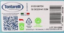 Delf Blue
