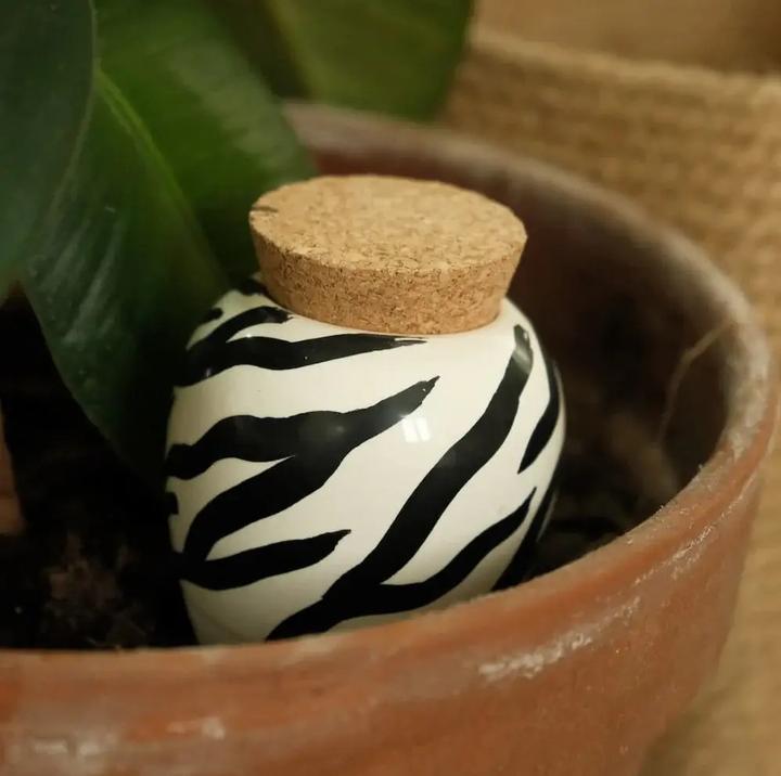 Image du produit Bewässerungskegel Olla Zebra (Cône d'argile)