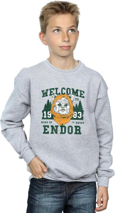 Produktbild Star Wars Endor Camp Sweatshirt Jungen (116)
