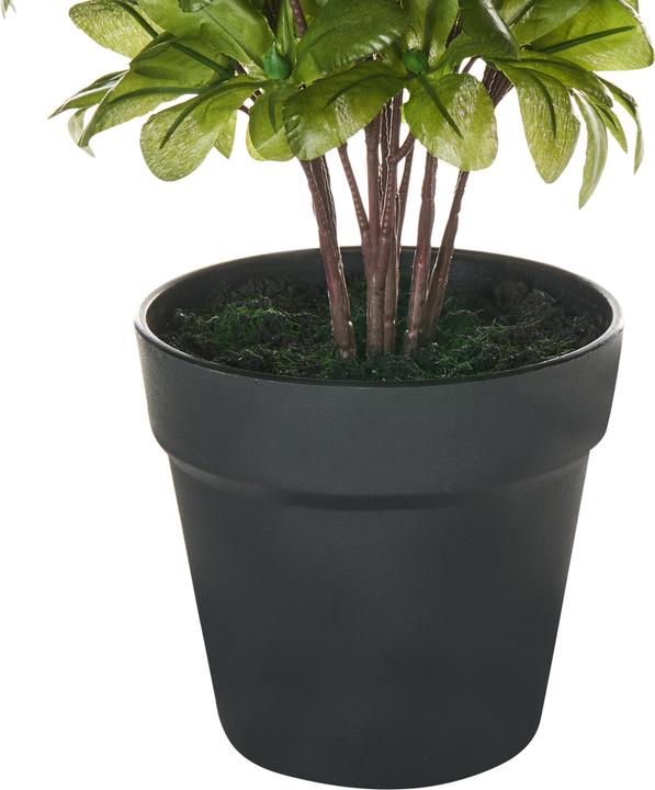 Immagine prodotto Beliani Novella (36 cm)