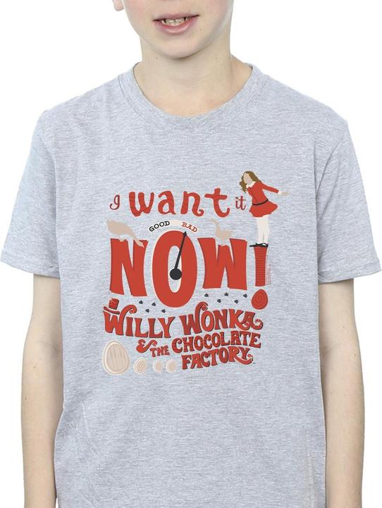 Produktbild Willy Wonka & the Chocolate Factory Verruca Salt I Want It Now TShirt Jungen (116)
