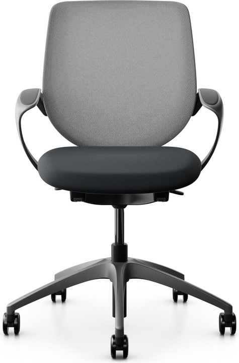 Actual product image Giroflex Netzrücken mit Armlehnen 313