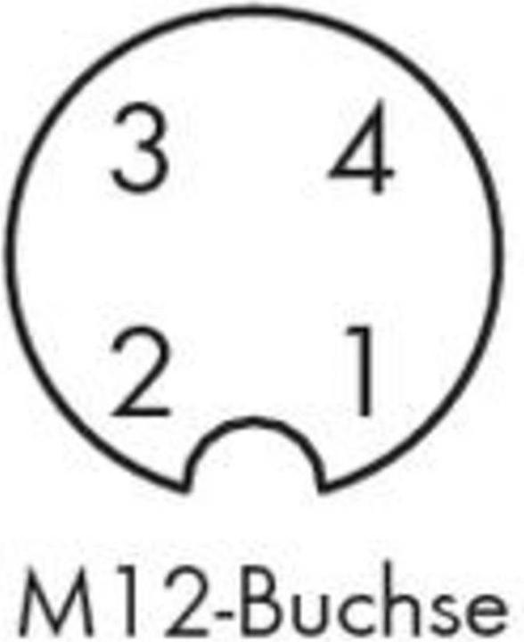 Produktbild Wago Sensor-/Aktor-Steckverbinder