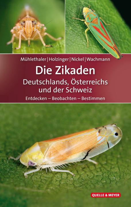 Produktbild Die Zikaden Deutschlands, Österreichs und der Schweiz (Deutsch, Ekkehard Wachmann, Herbert Nickel, Roland Mühlethaler, Werner Holzinger, 2018)