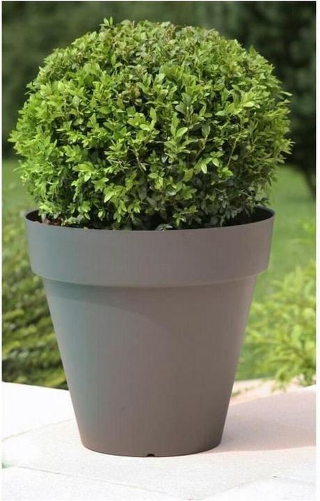 Actual product image Riviera Blumentopf 414076 rund (39 x 40 cm)