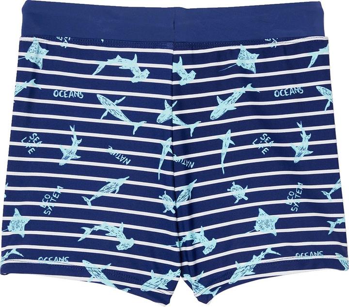 rayures marine