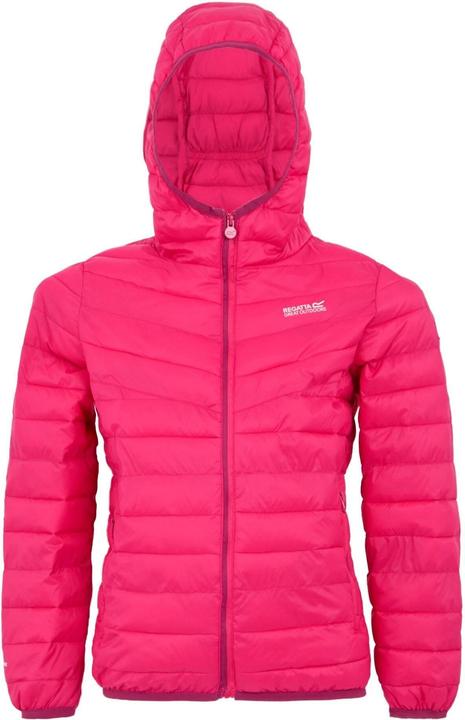 Produktbild Regatta Hillpack III Kapuzenjacke (170, 176)