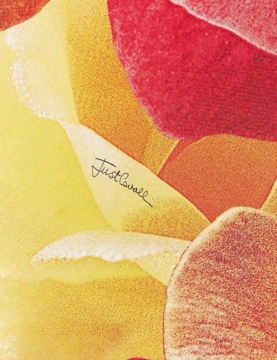 Produktbild Just Cavalli Abito da Cavalli (38)