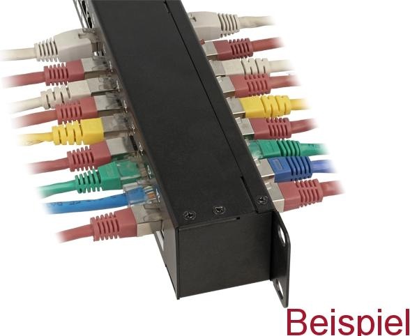Actual product image Delock 19″ Coupling Patch Panel 24 Port Cat.6