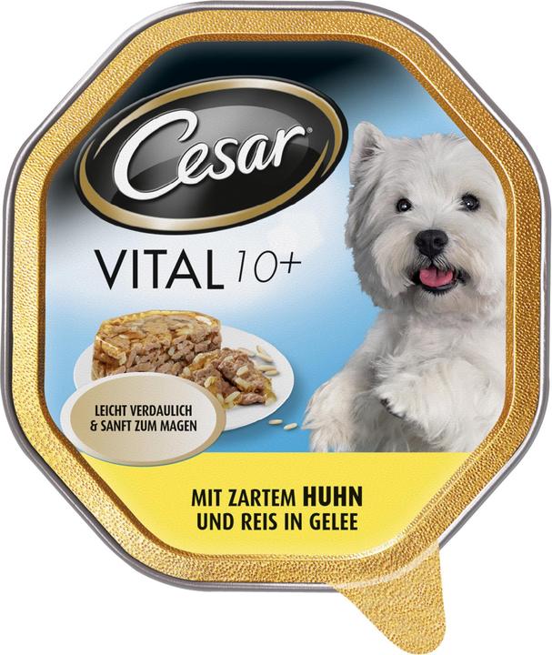 Cesar Vital 10+ Senior mit zartem Huhn & Reis in Gele