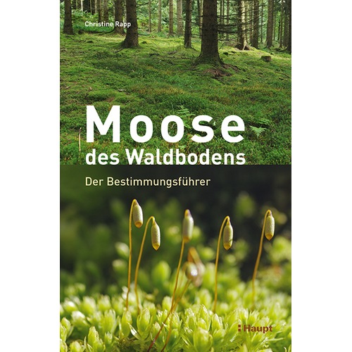 Moose des Waldbodens, Fachbücher von Christine Rapp