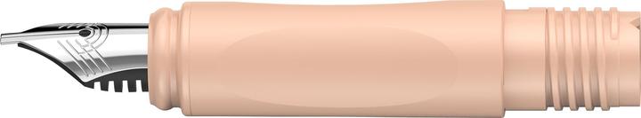 Actual product image Schneider Nib for Callissima fountain pen incl. front part apricot 1.1 mm (Apricot, 1 x)