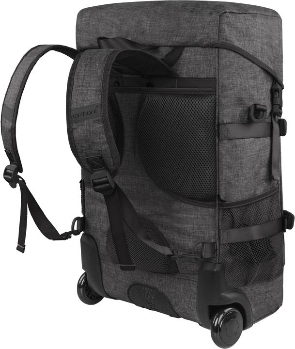 Actual product image Normani Nara (37 l)