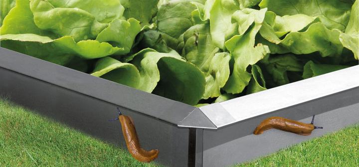 Actual product image Bellissa Screw plate Corner part (7 cm)