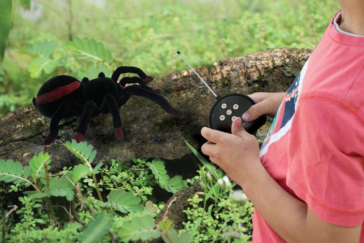Actual product image Lexibook Tarentula realistic remote controlled spider with light effects