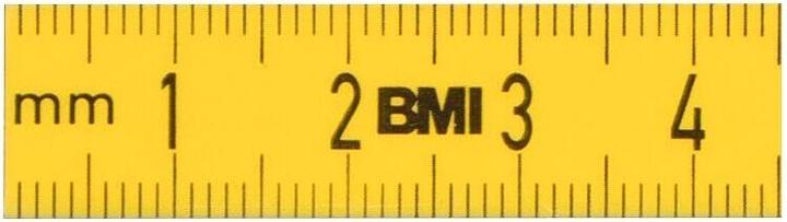 Immagine prodotto BMI Regolo in acciaio ISOFLEX Lunghezza 300 mm Acciaio con poliammide flessibile (0.30 m)