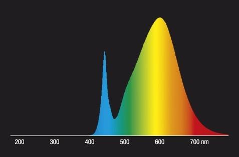 Image du produit Radium Lampe LED (G9, 320 lm, 1 x)