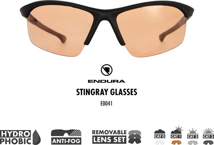 Actual product image Endura Lunettes STINGRAY Noir 4 Paires De Verres Polarisants 2012 (Black)