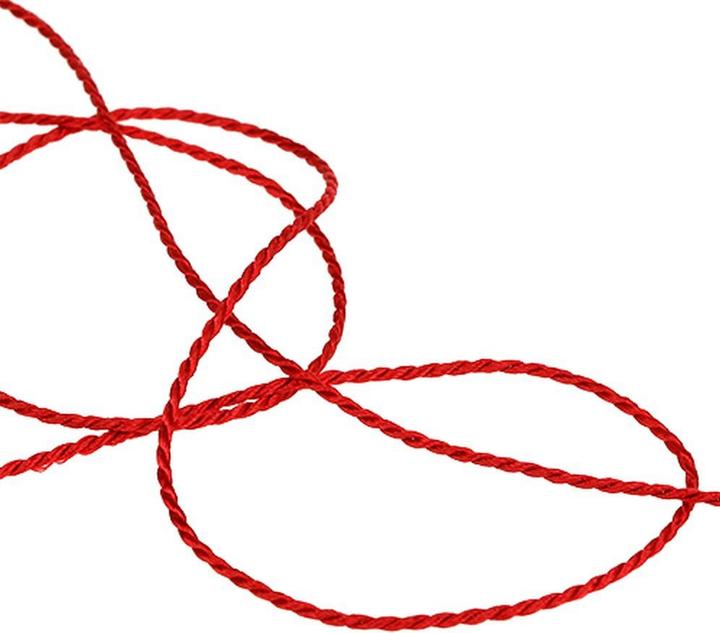 Immagine prodotto Halbach Corda (Nastro da regalo)