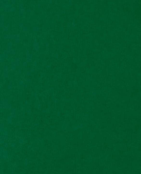 Immagine prodotto Ursus Carta Dragon 70 x 100 cm, 42 g/m², verde scuro (42 g/m², 1 x)