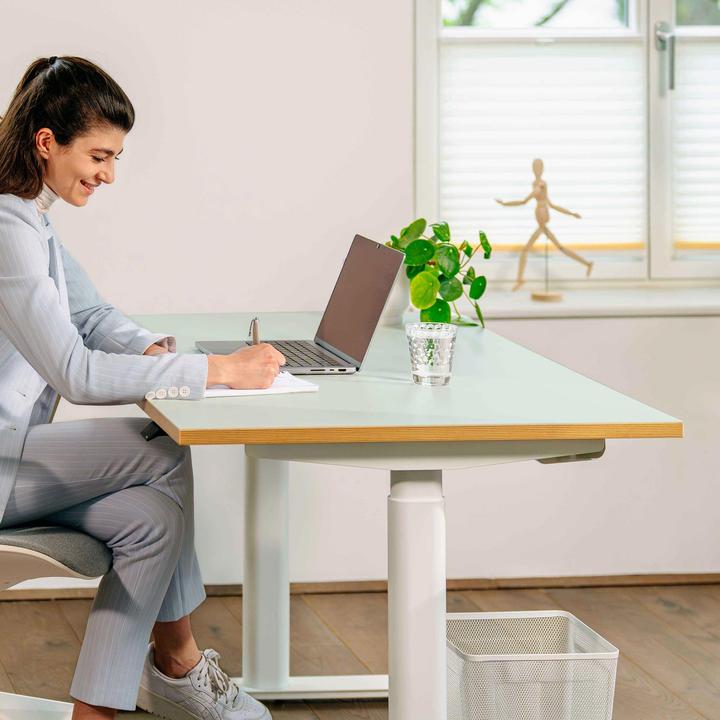 Actual product image ofinto Rise