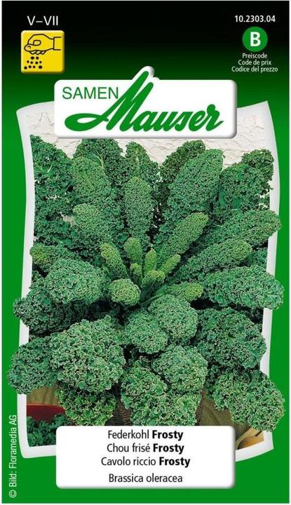 Actual product image Samen Mauser Feather cabbage Frosty (Vegetable seeds)