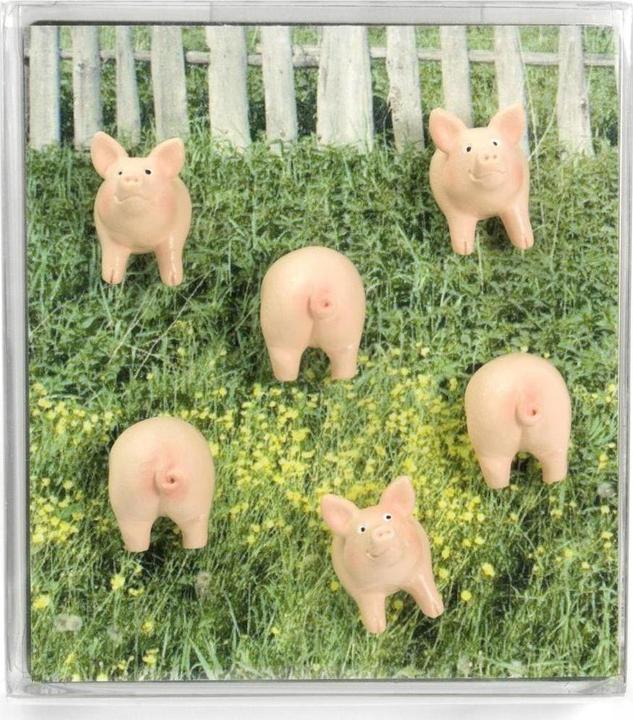 Image du produit Trendform Piggy (6x)