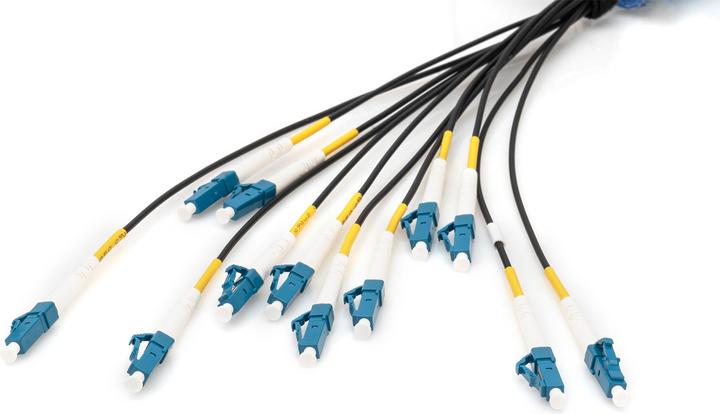 Actual product image Digitus Pre-assembled Fiberglass Universal Breakout Cable, Multi Mode OS2, 12 Fibers, LC/UPC - LC/UPC (LSOH, 30 m)