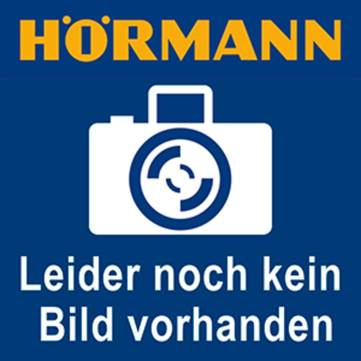 Productafbeelding Hörmann Handzender HSE4 868-BS Hoogglans chroom Frozen afstandsbediening (Handzender)