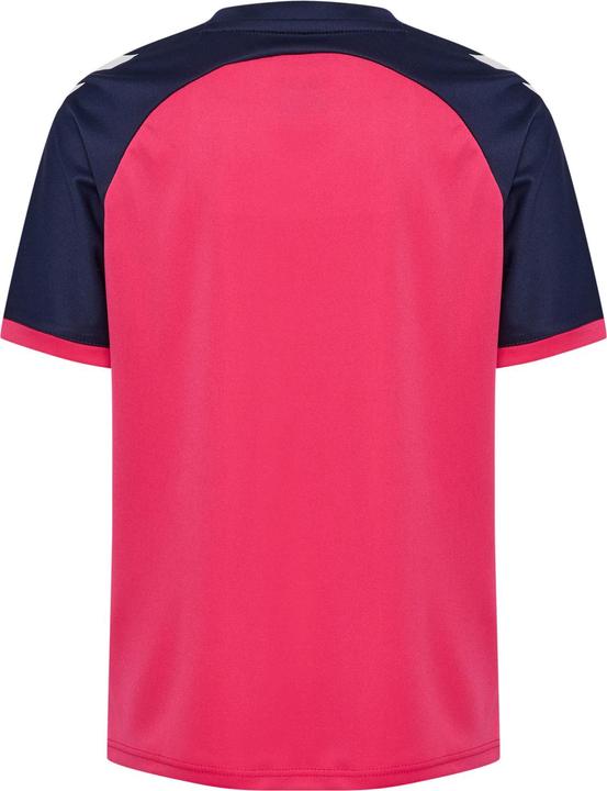 raspberry sorbet marine