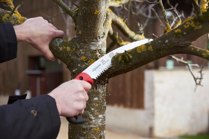 Actual product image Felco Tree saw 640