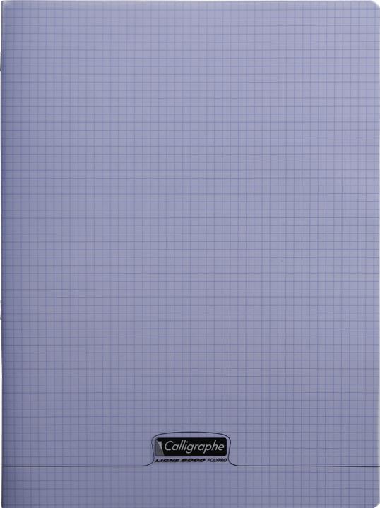 Immagine prodotto Clairefontaine Lega 8000 POLYPRO (Copertina morbida)