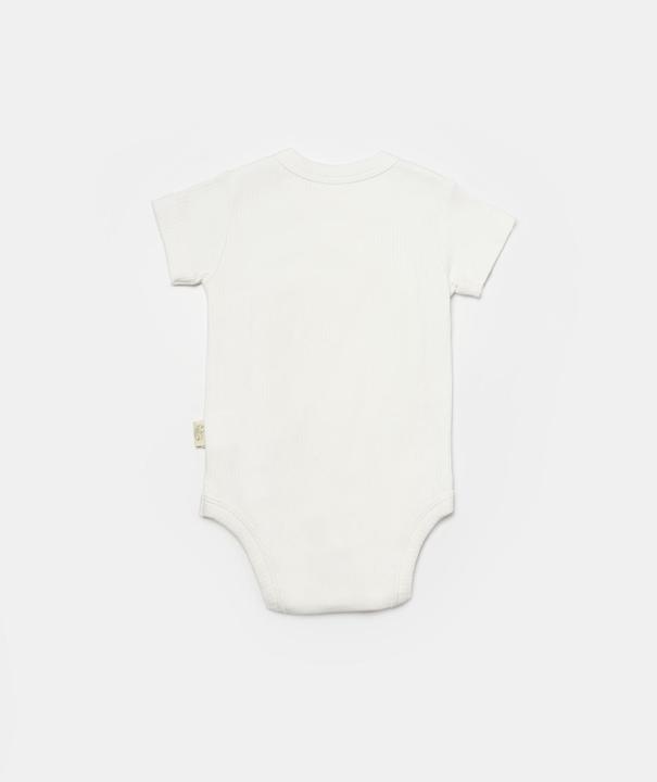 Produktbild BabyCosy Zweireihiger Body, 2 Pack (68)